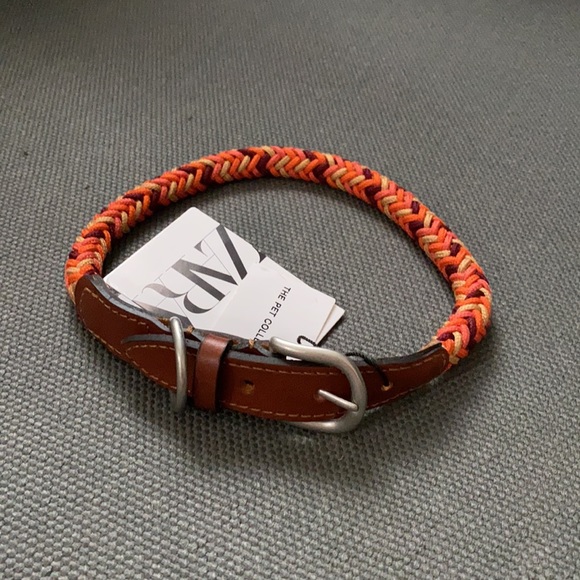 ZARA Dog Collar - Picture 2 of 8